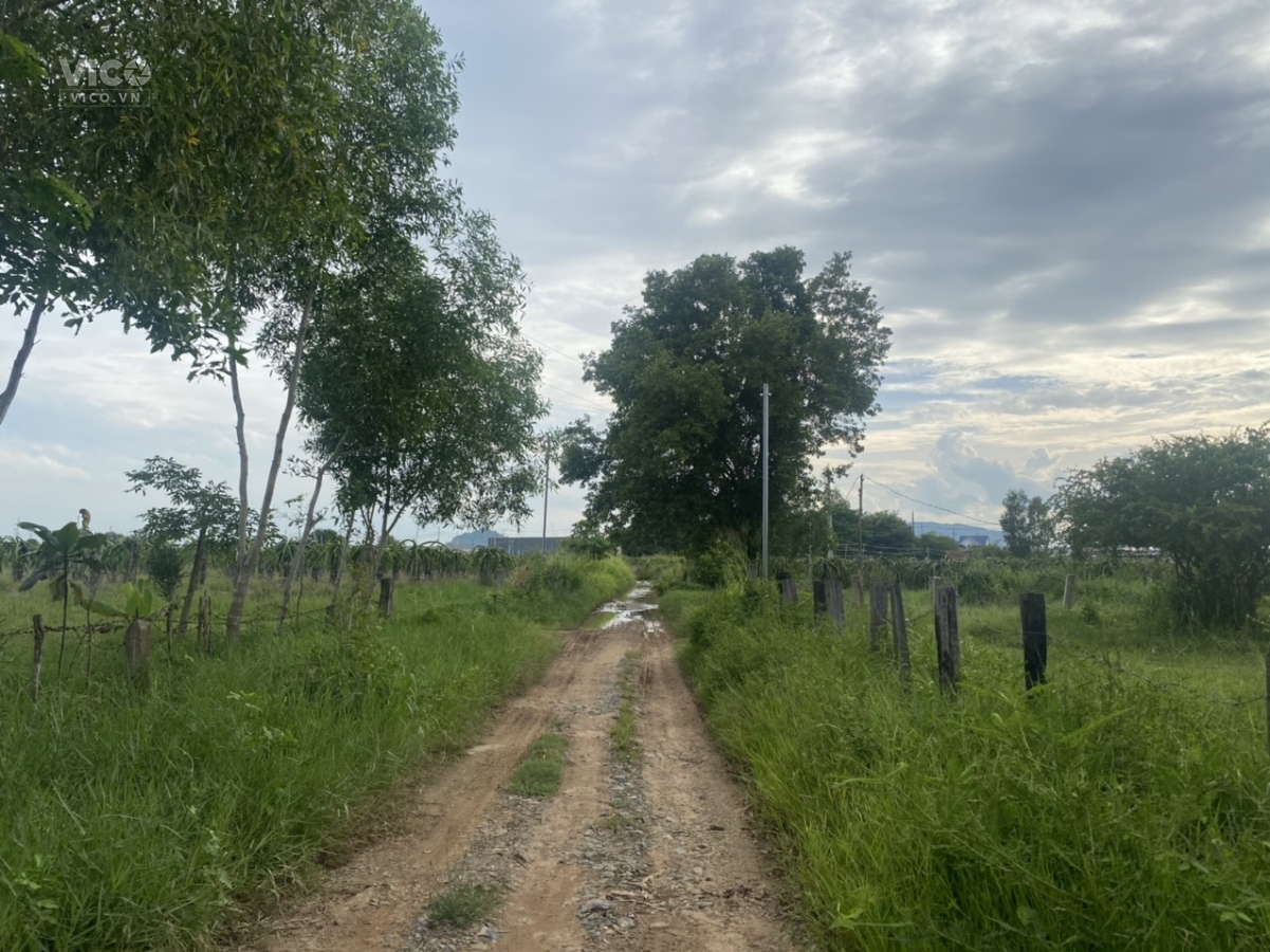 0933239353_BĐS Bình Thuận_3,5 Sào Hàm Thuận Nam _Cách Nhựa 300M Đất CLN Cạnh DT712