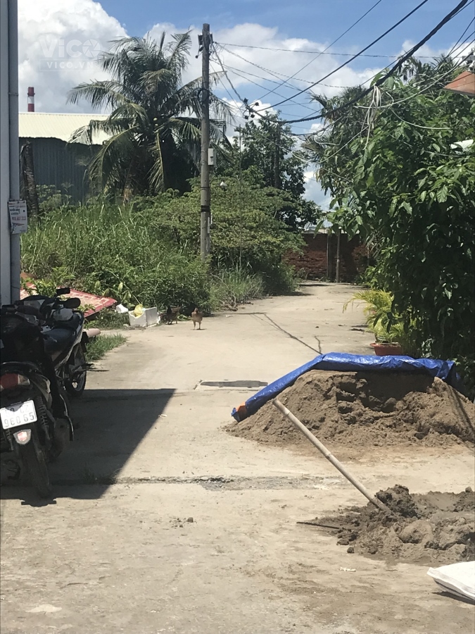 Chủ kẹt tiền cần bán gấp lô đất nằm ngay KCN Hiệp Phước tại đường Nguyễn Văn Tạo , xã Long Thới ,