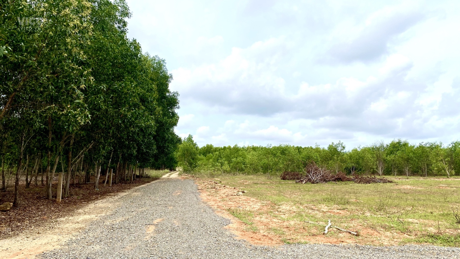 0933239353_2100 M2 _Thiện Nghiệp Sân Bay Phan Thiết _ Chính Chủ _Hàng Đầu Tư _ Sô Thơm Mùi Tiền