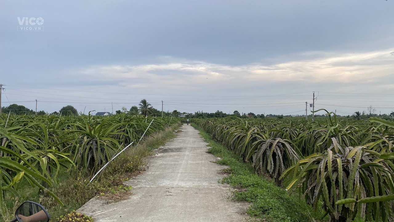 0933239353_ 4000m2 Hàm Hiệp Cách TT Phan Thiết chỉ 10Km 2 Mặt Tiền Đường Bê Tông 480tr/Sào