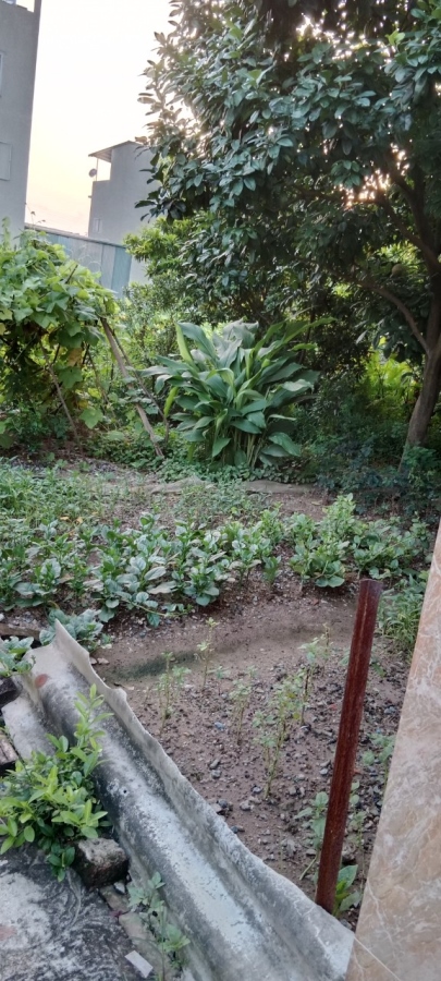 GẦN Ô TÔ MẢNH ĐẤT ĐẸP ĐẦU TƯ CHIA LÔACE ĐẦU TƯ BƠI HẾT VÀO ĐÂY CHÍNH CHỦ BÁN ĐẤT DƯƠNG NỘI