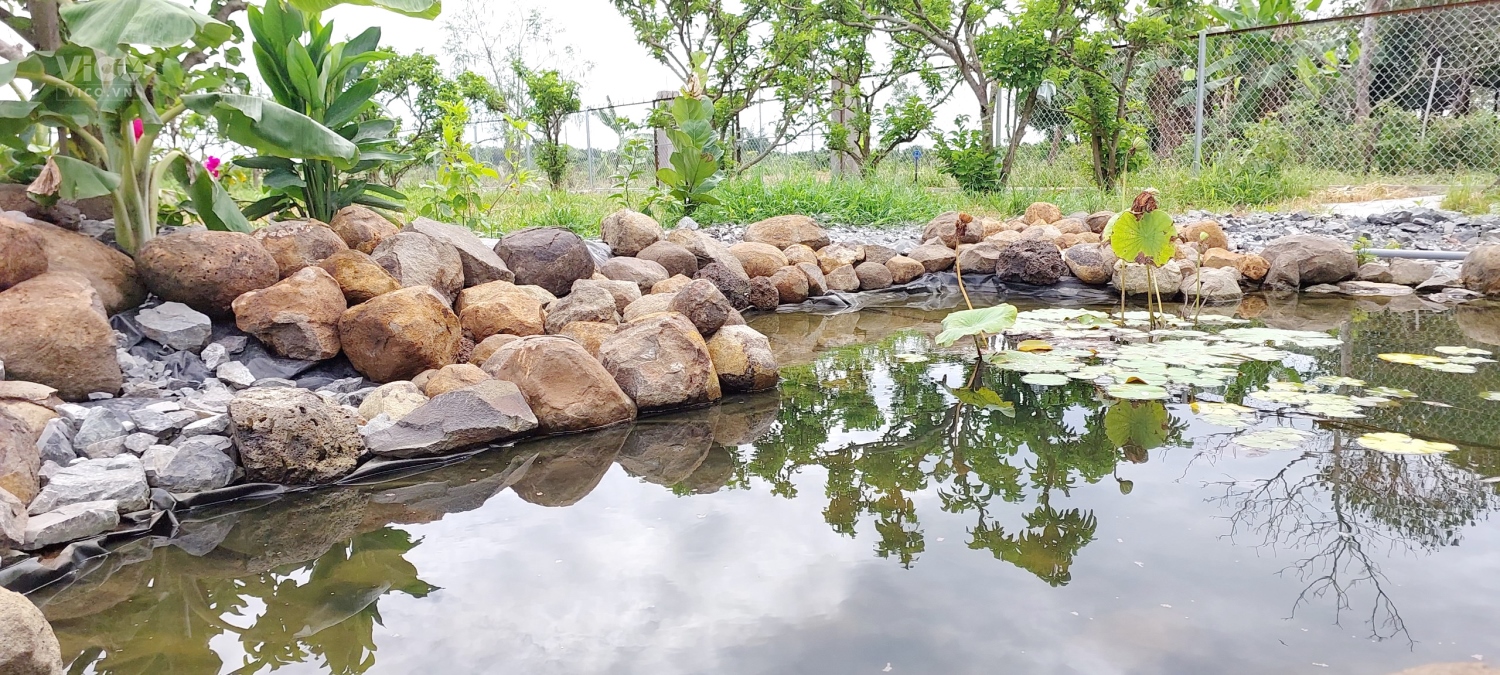 Bán 907m2 đất vườn, 12 x 56m Đường nhánh Phạm Hùng Xã Phước Long Thọ Huyện Đất Đỏ