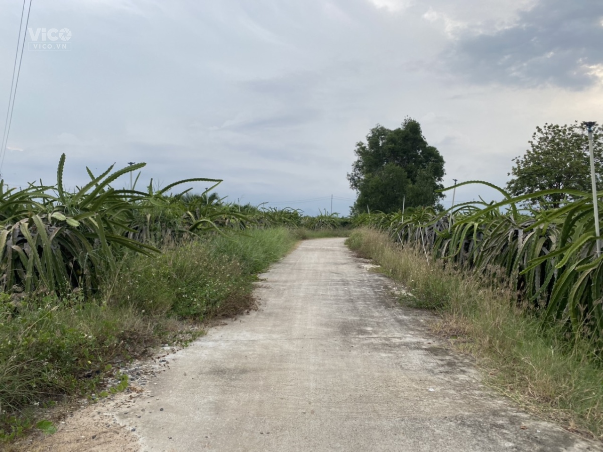 0933239353_ 4000m2 Hàm Hiệp Cách TT Phan Thiết chỉ 10Km 2 Mặt Tiền Đường Bê Tông 480tr/Sào
