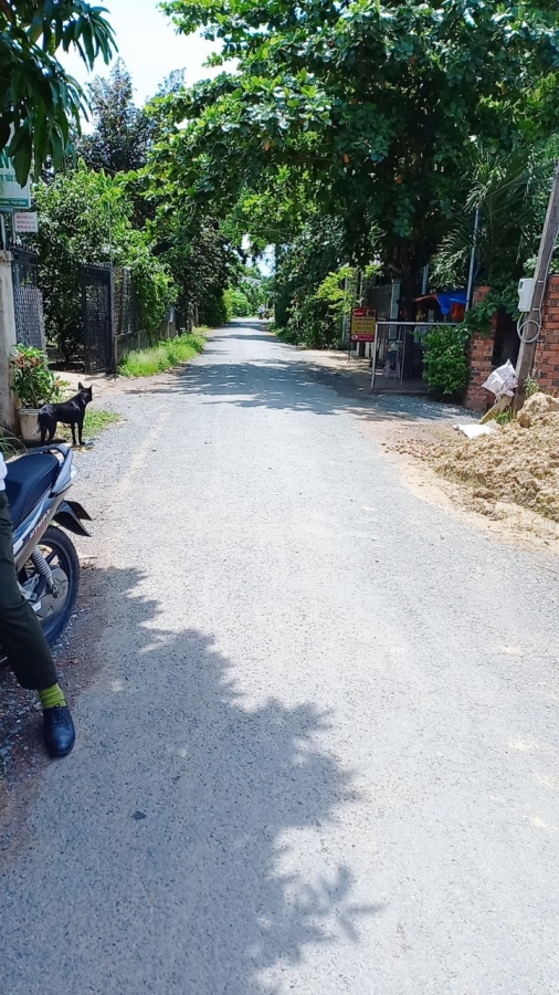 Chính chủ cần bán Lô Đất Nền cho nhà đầu tư Full thổ cư