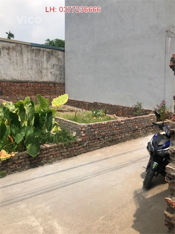 Giá 45 triệu, cần bán 45m đất siêu đẹp tại Thái Bình, Mai Lâm, Đông Anh, 0377236666