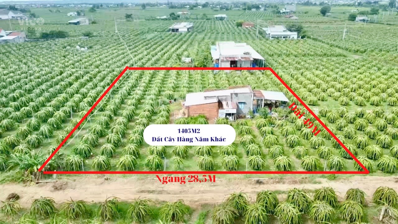 0933239353 Bán 1,4 Sào CLN Hàm Hiệp Có nhà Cấp 4 , Cách TT 8KM Sổ Đẹp