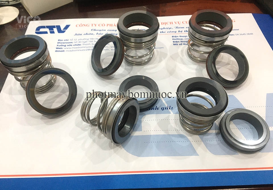 Phớt Máy Bơm Trục Ngang Type 155 (155A)40