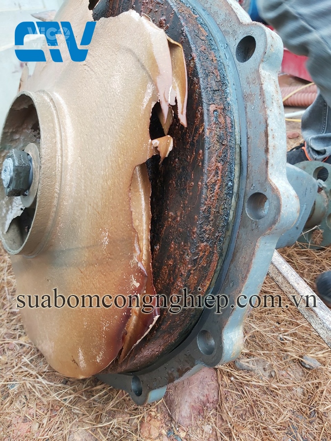Sửa Máy Bơm Công Nghiệp Ebara Khi Bị Hỏng Cánh