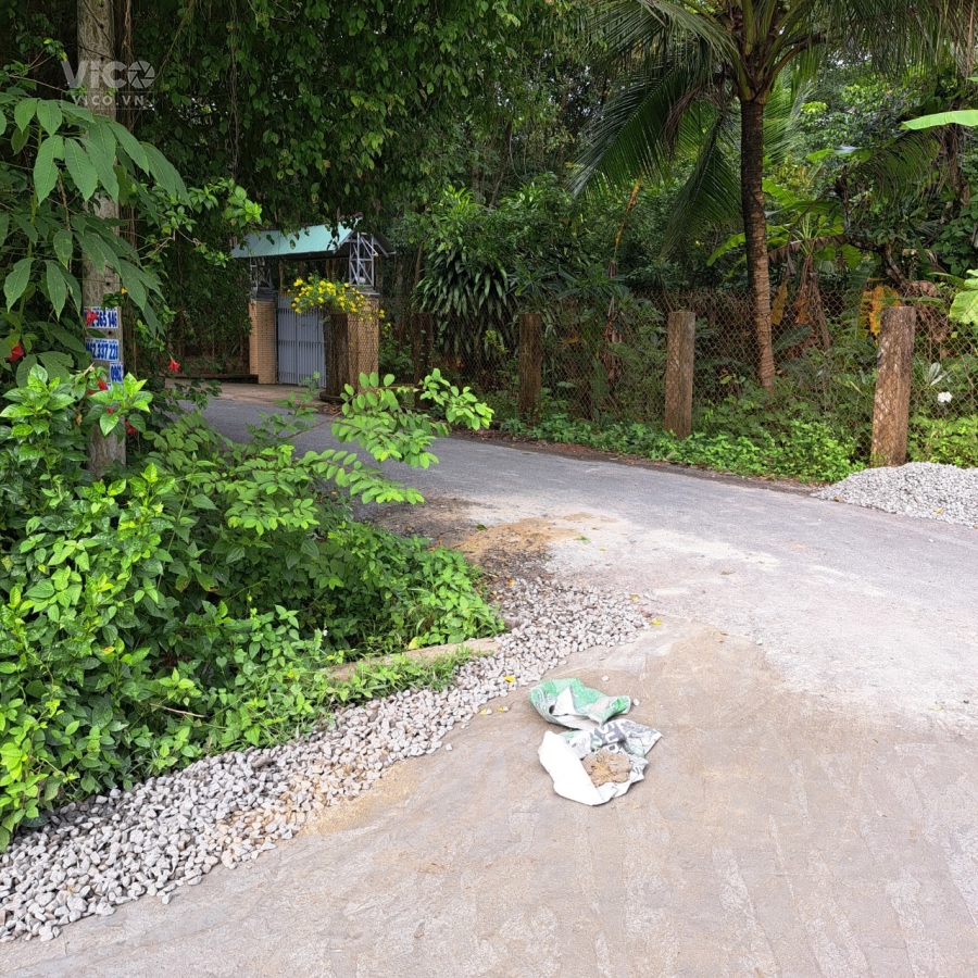 BÁN ĐẤT GÒ DẦU