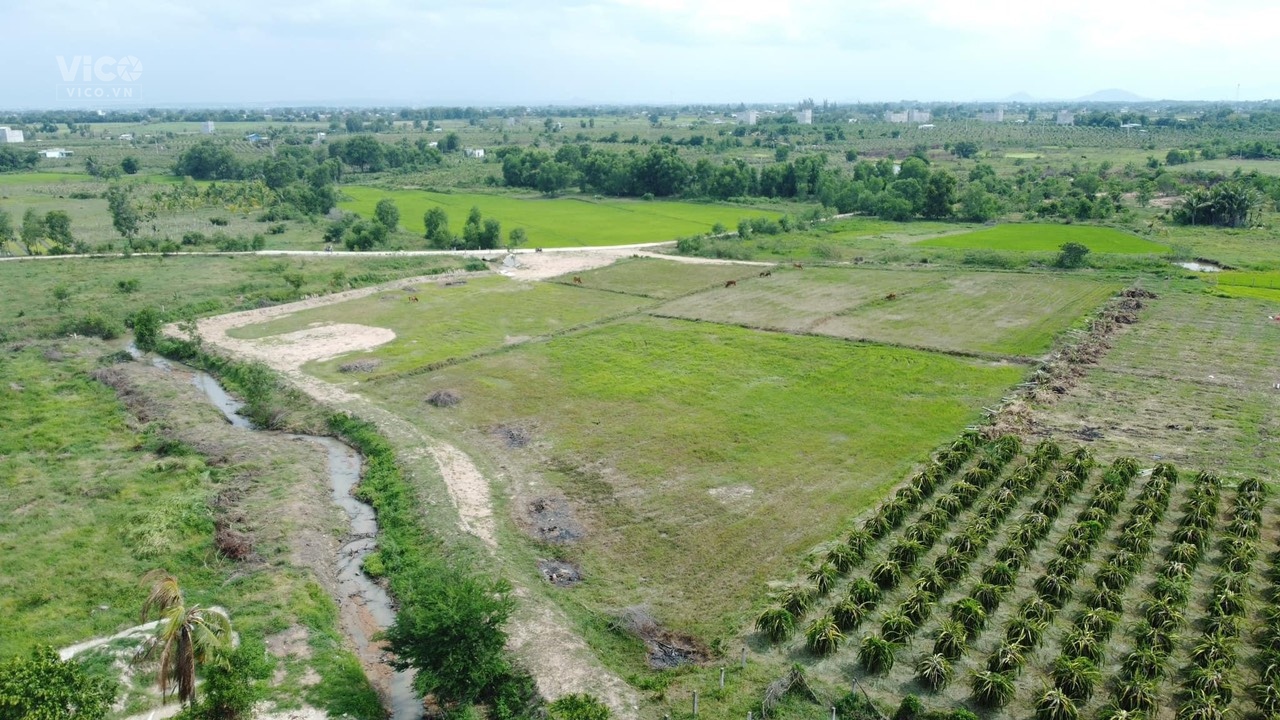 0933239353_BDS Bình Thuận_ Bán nhanh 1,1 Ha Hàm Chính_ 1 mặt kênh , 1 mặt bê tông