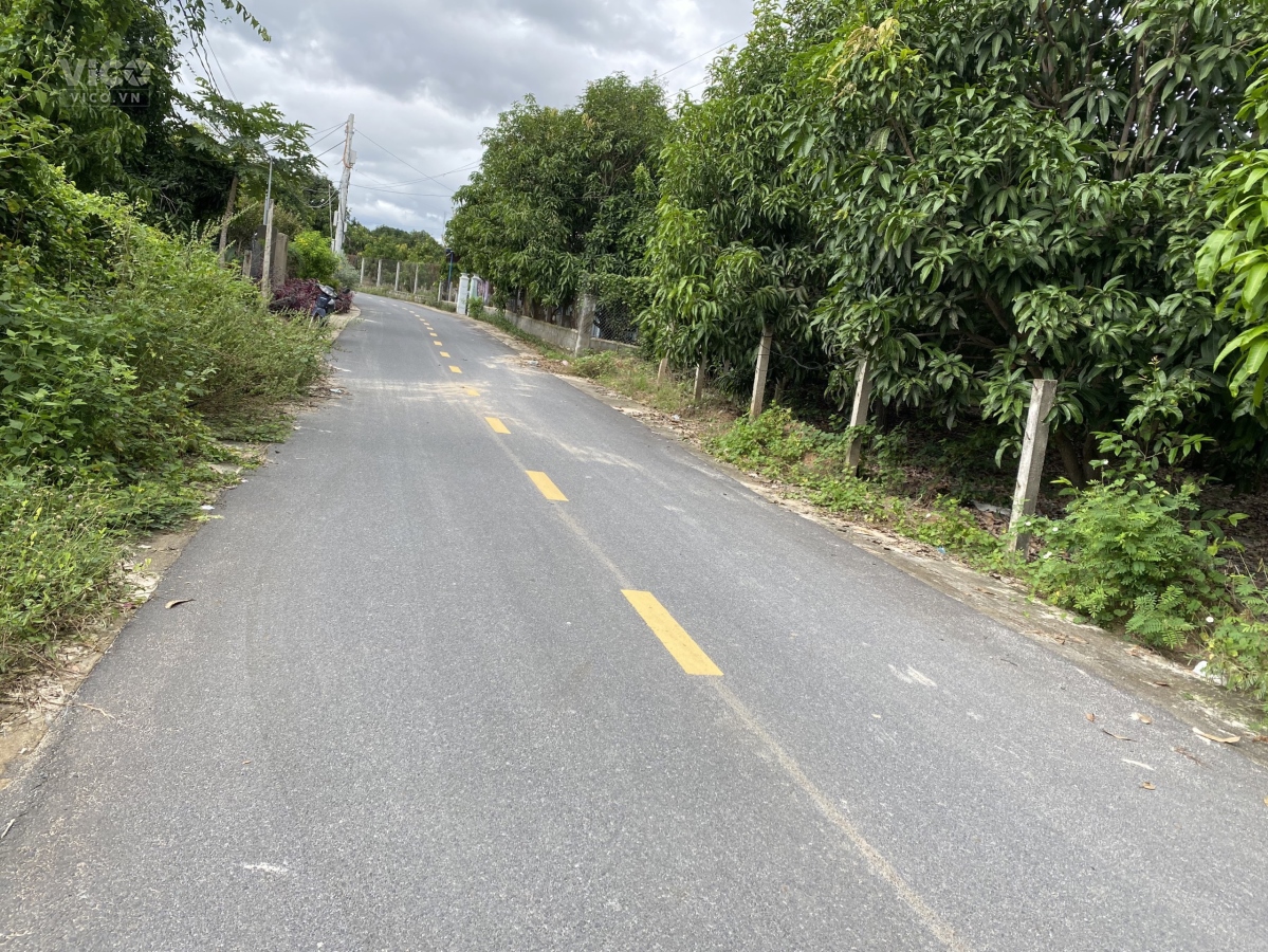 ĐÁT NÊN GIÁ RẺ CAM LÂM KHÁNH HÒA