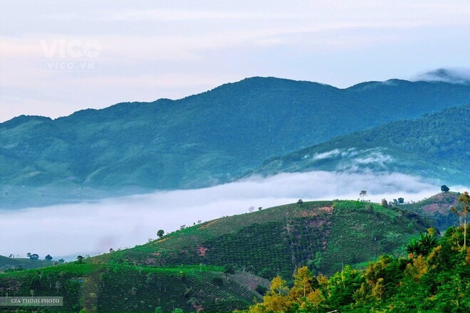 bán gấp lô đất mặt tiền Xã Lộc Quảng gần dự án suvalley