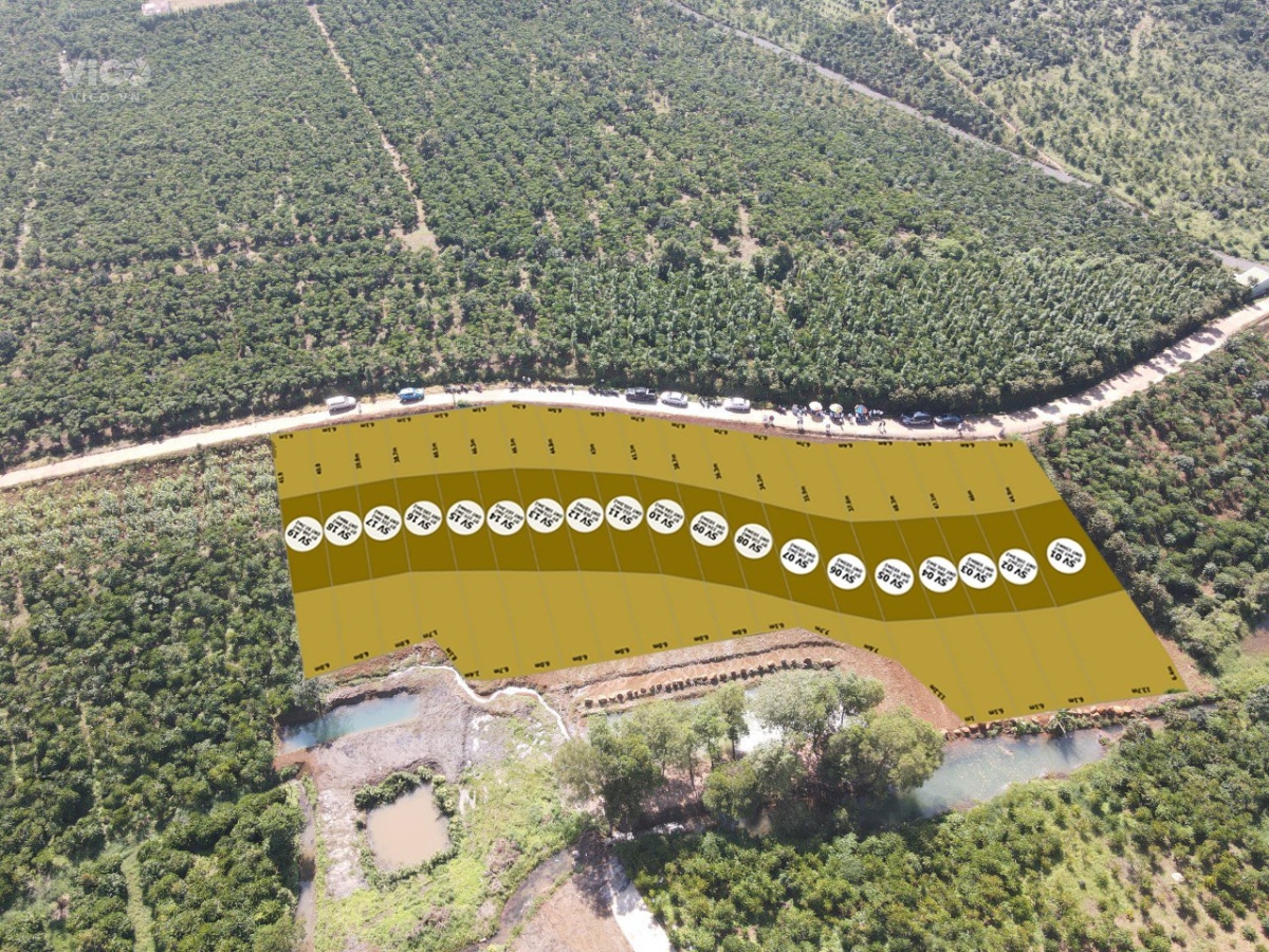 Bán đất phân lô SÀnh Villa BẢo Lộc . đón đầu sóng quy hoạch cao tốc, sân bay. Du lịch nghỉ dưỡng