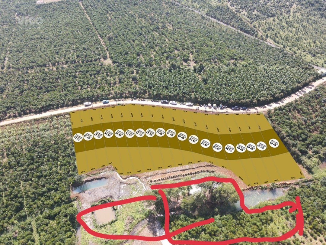 Cơ hội vàng đầu tư đất nền Nam Đà Lạt , Bảo Lộc , Lâm Đồng đón sóng cơ sở hạ tầng giá rẻ