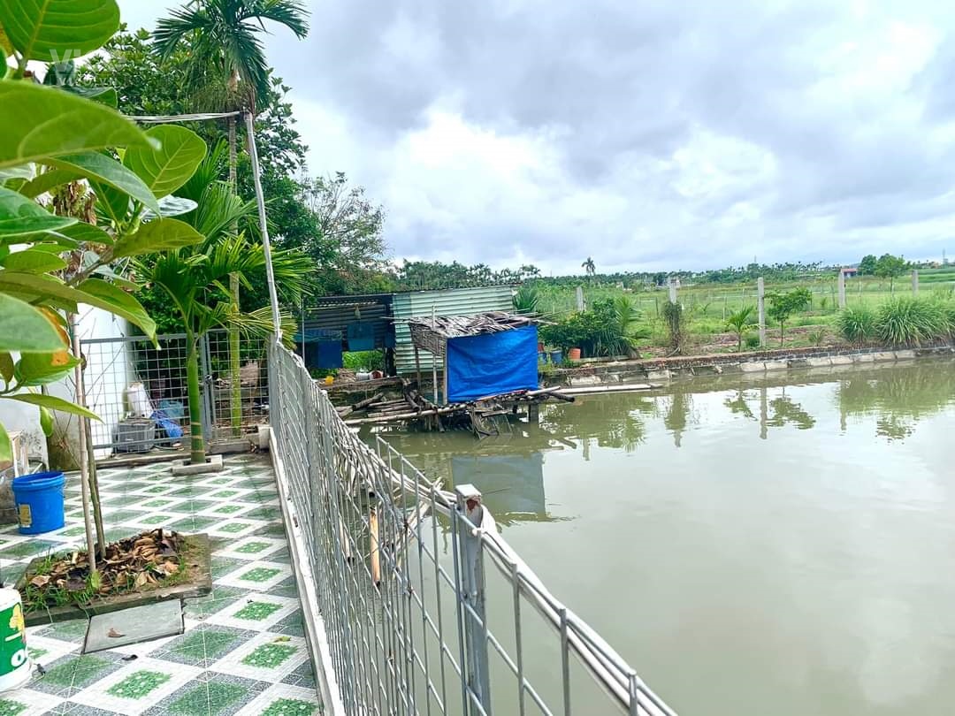 lô đất 2100m2 tại Hòa Nghĩa, Dương Kinh giá chỉ 3.5 tr.m2 đường 6m