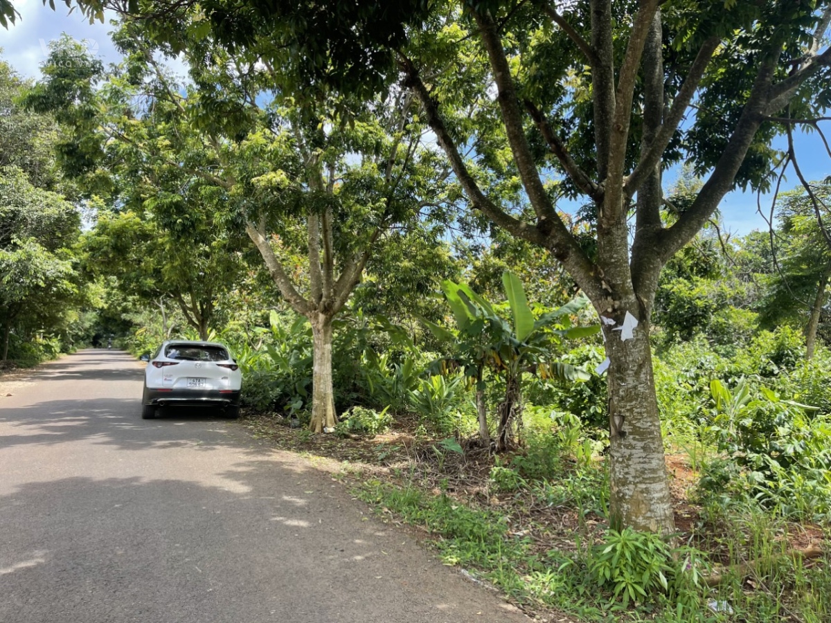 Cần Bán Gấp Lô Đất Đẹp Trục lộ 4, phường Thành Nhất, TP Buôn Ma Thuột, Đắk LắK