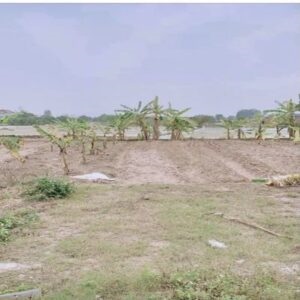 Cần Bán Mảnh Đất Tại Xã Nam Chính, huyện Nam Sách, tỉnh Hải Dương