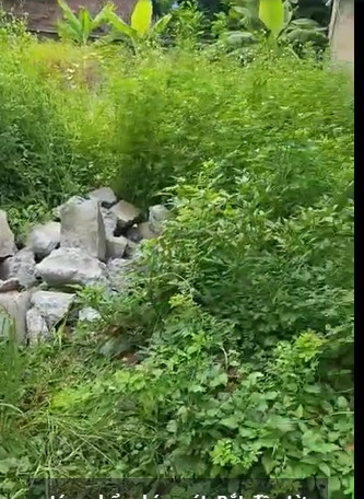 Tuyến 2 Trần Bá Lương, Hưng Đạo, Dương Kinh đường 3m, chỉ hơn 1 tỷ hàng cực hiếm