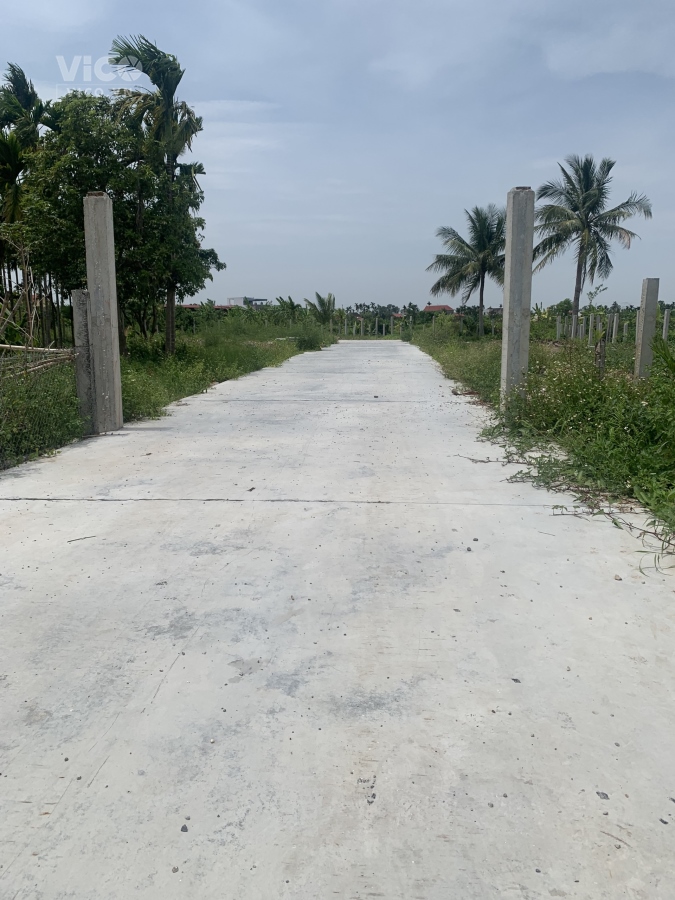 Lô đất F0 cho nhà đầu tư ngay Khu công nghiệp Chợ Hương , Hưng Đạo Dương Kinh , Hải Phòng. Giá