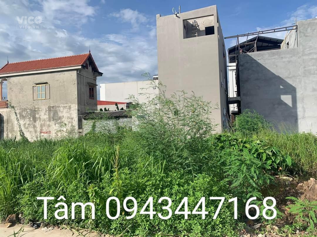 hàng đẹp đg rộng 5m cách mặt đường 353 . 40m hợp đưc đồ sơn