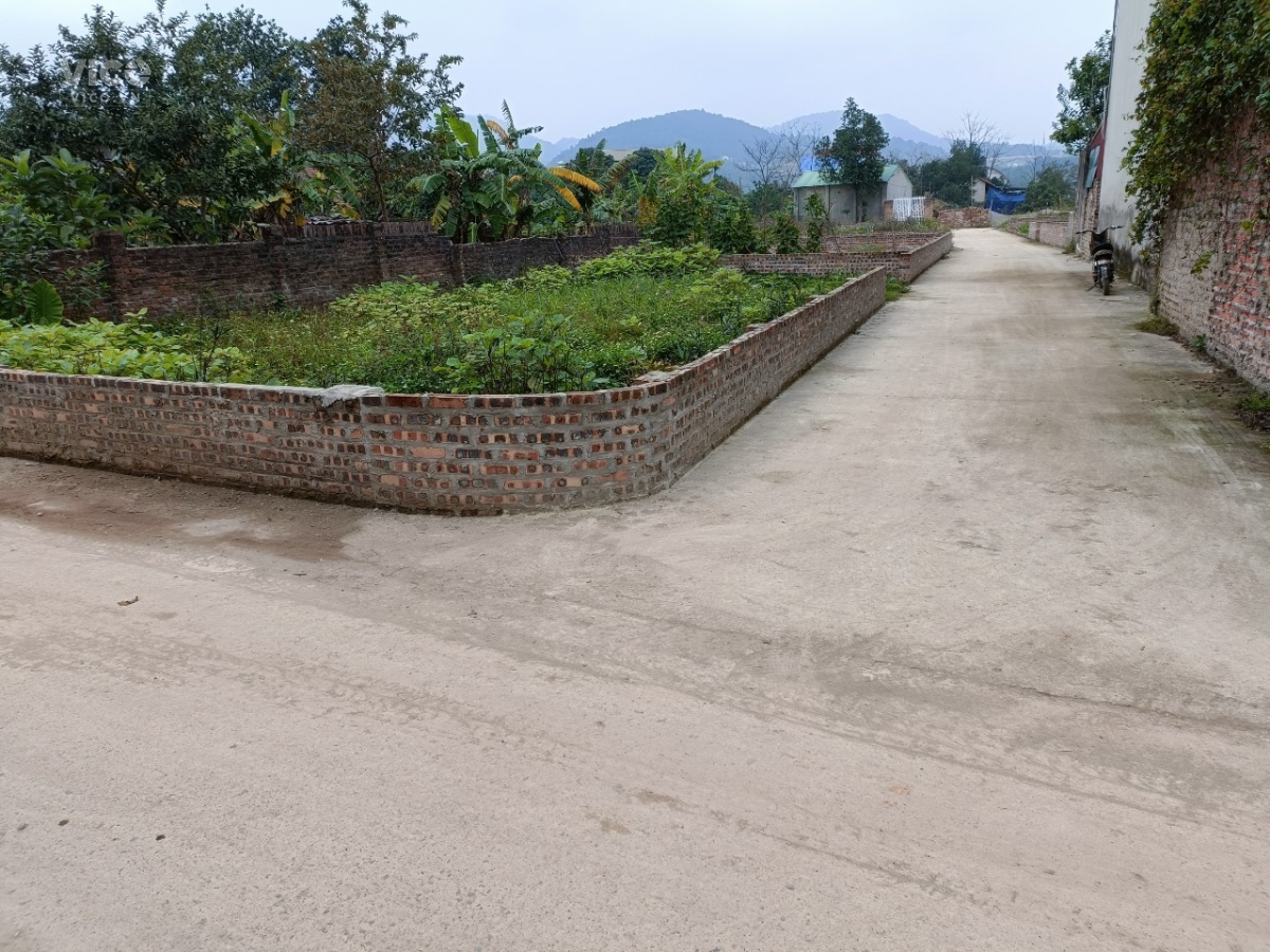 CHÍNH CHỦ CẦN THANH KHOẢN GẤP LÔ ĐẤT 139M2 TẠI PHÚ NINH MINH PHÚ SÓC SƠN LH 0399786838