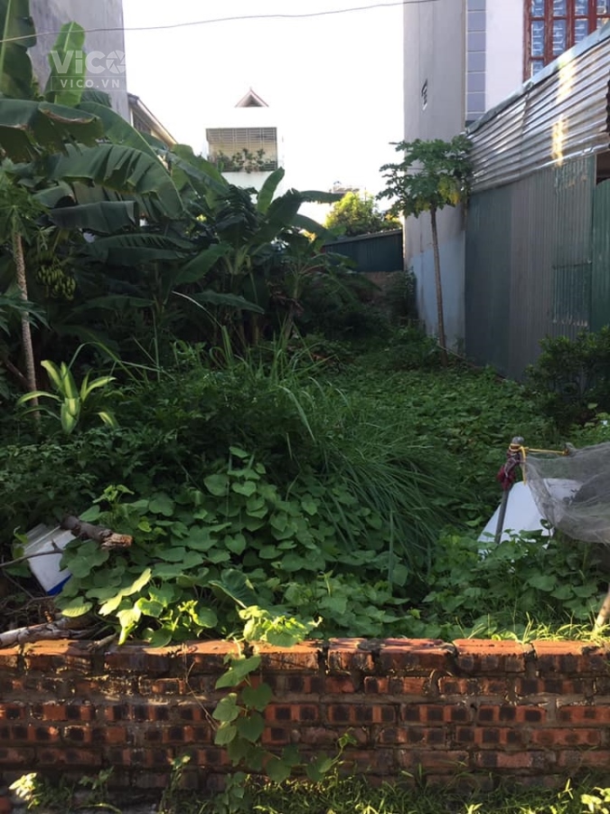 BÁN ĐẤT LONG BIÊN KHU PHÂN LÔ 918 PHÚC ĐỒNG 90M2 MT5M Ô TÔ TRÁNH NHIỀU TIỆN ÍCH