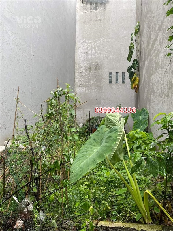 HIẾM Bán đất Kim Giang 40m2, mt 4.3m, ngõ thông ô tô tránh, kd, tương lai sáng, 5.8 tỷ