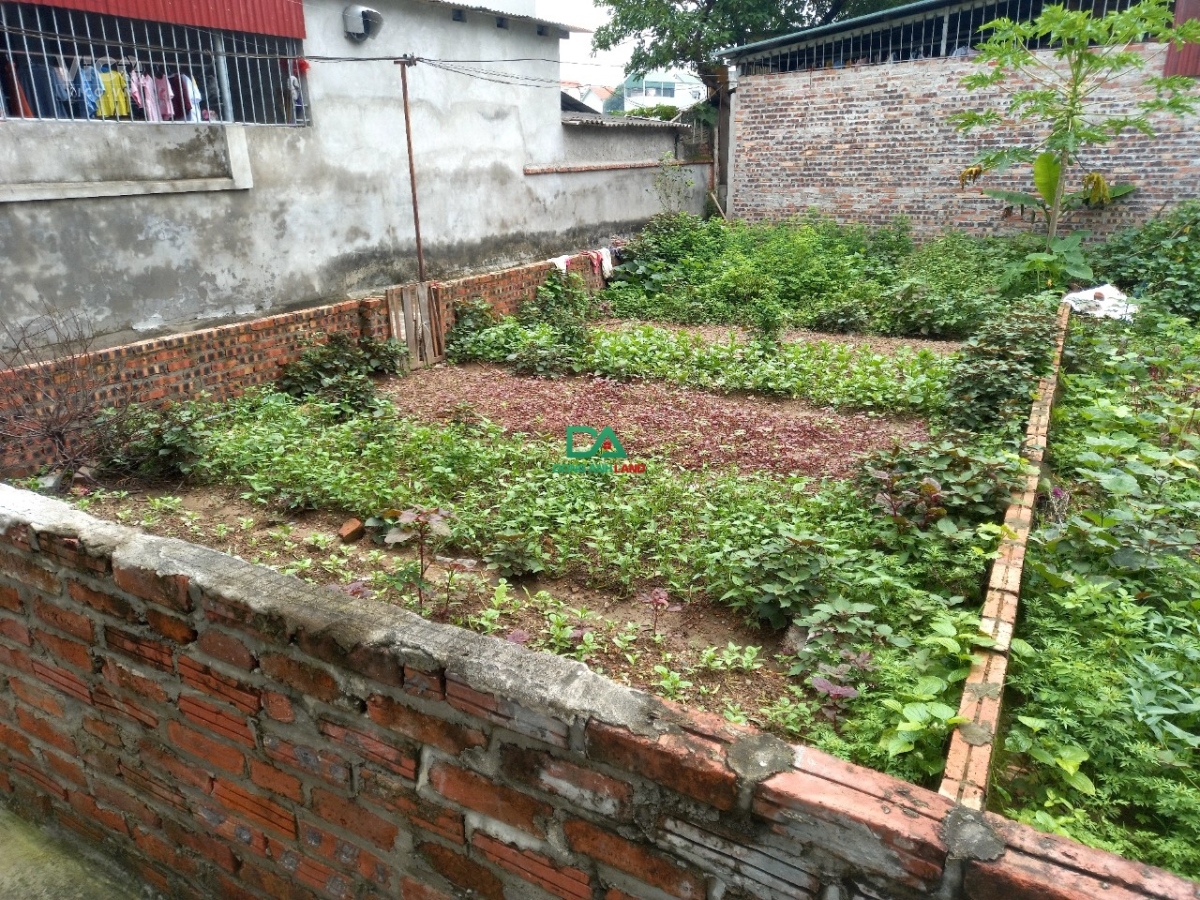 Bán đất Nguyên Khê Đông Anh Lô góc 60m Xóm Đường Ôtô đỗ cửa