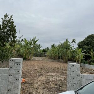 cần Bán đất tại Thôn Thượng Trang, xã Bát Tràng, huyện An Lão, Hải Phòng