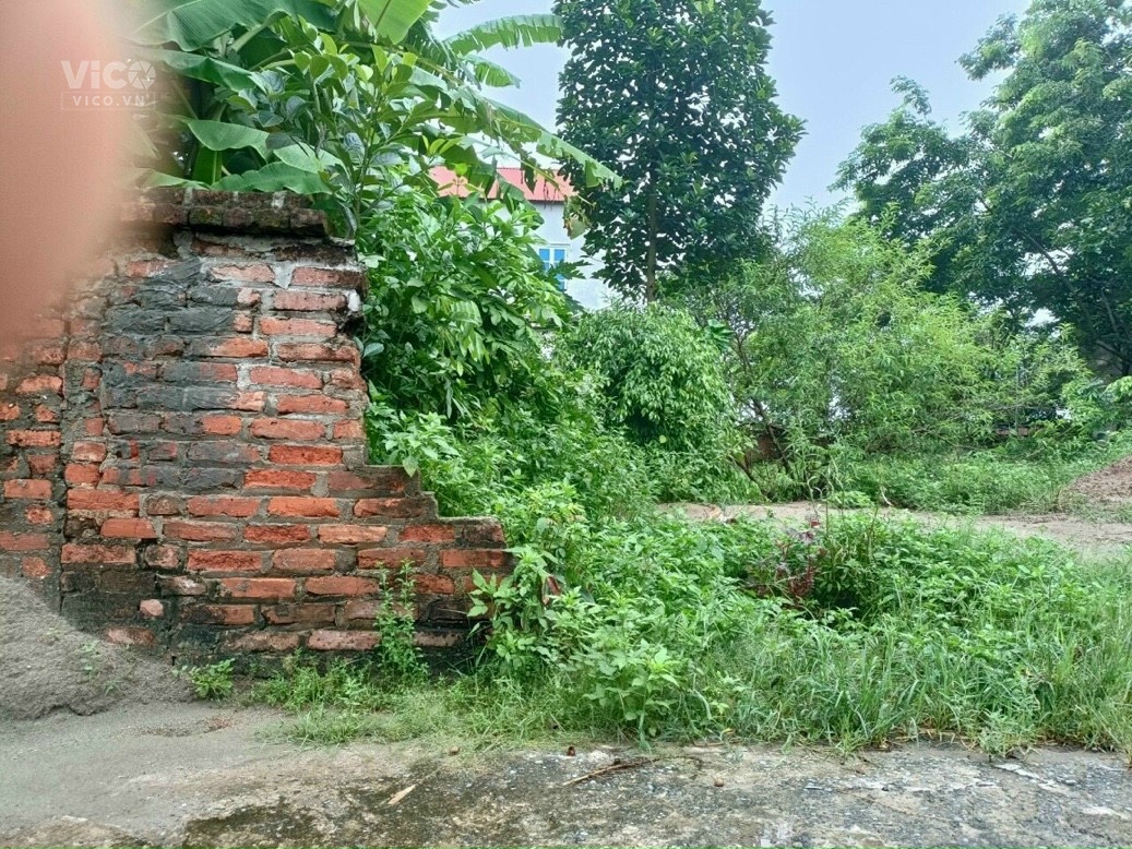 Cả xã không còn lô nào rẻ hơn Cần tiền giá nào cũng bán! 91.5m Lập Trí Minh Trí