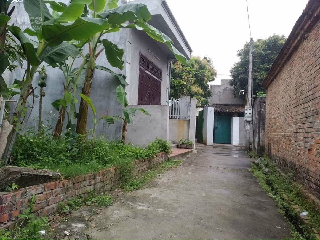 bán đất Mai Đình, Sóc Sơn, Hà Nội. giá chỉ 880tr