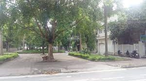 Chính chủ bán 176m2 đât đấu giá Vườn Đào, Quận Tây Hồ, mặt tiền 11m