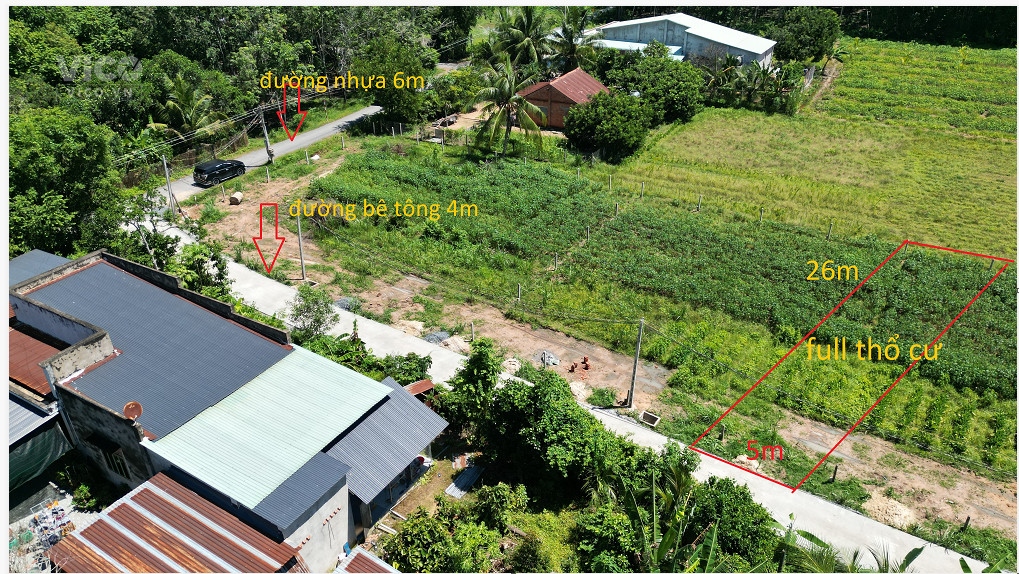 cây da hiệp thạnh full thổ cư