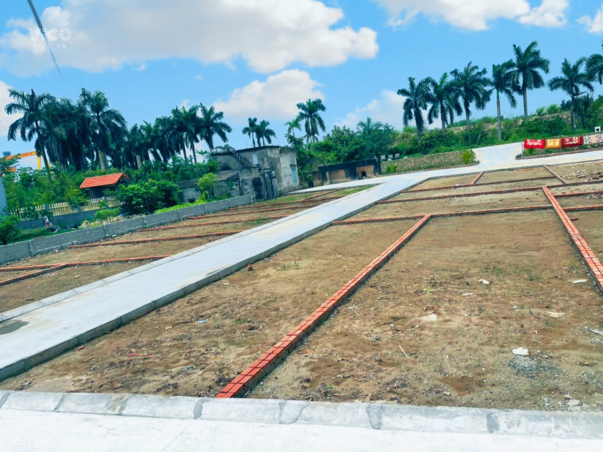 BÁN ĐẤT CHIẾN THẮNG AN LÃO