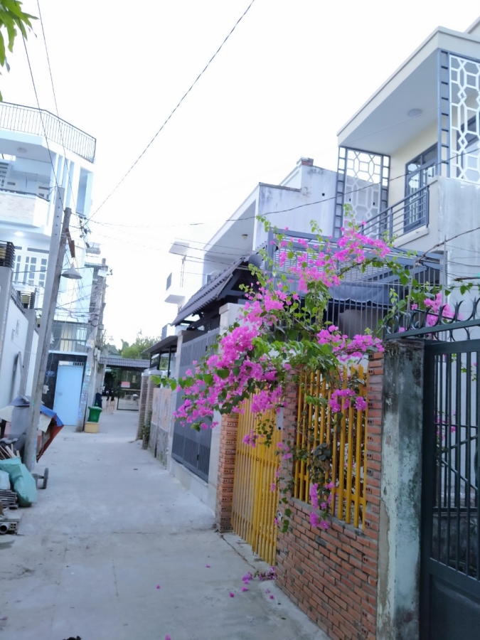 Bán Đất Tặng Nhà Cấp 4 Hẻm Xe Hơi Đường Số 2 , Hiệp Bình Phước, Thành Phố Thủ Đức