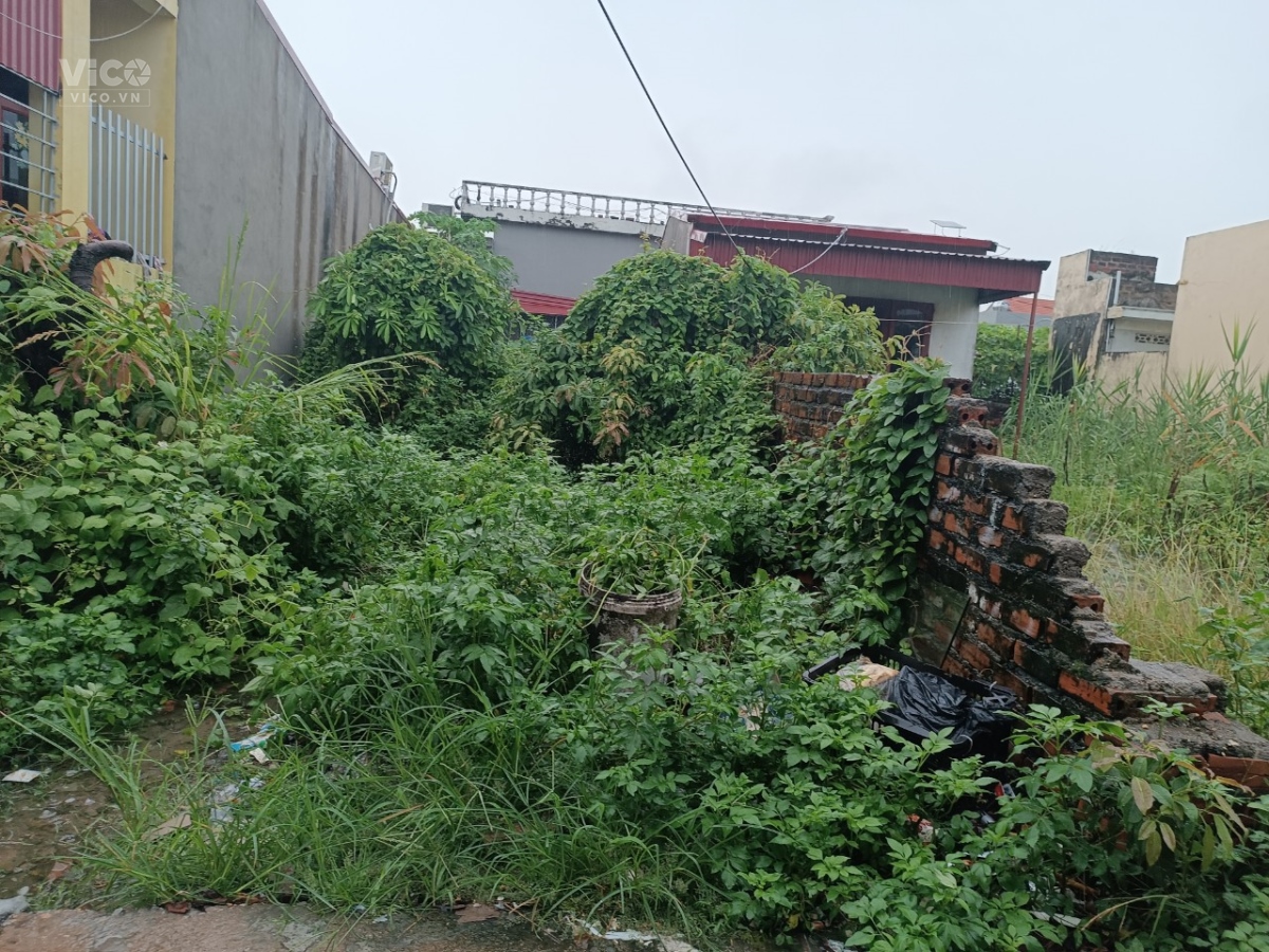 TDP 2 hòa nghĩa dương kinh HP 100M ngang 5 giá 1,x tr .m