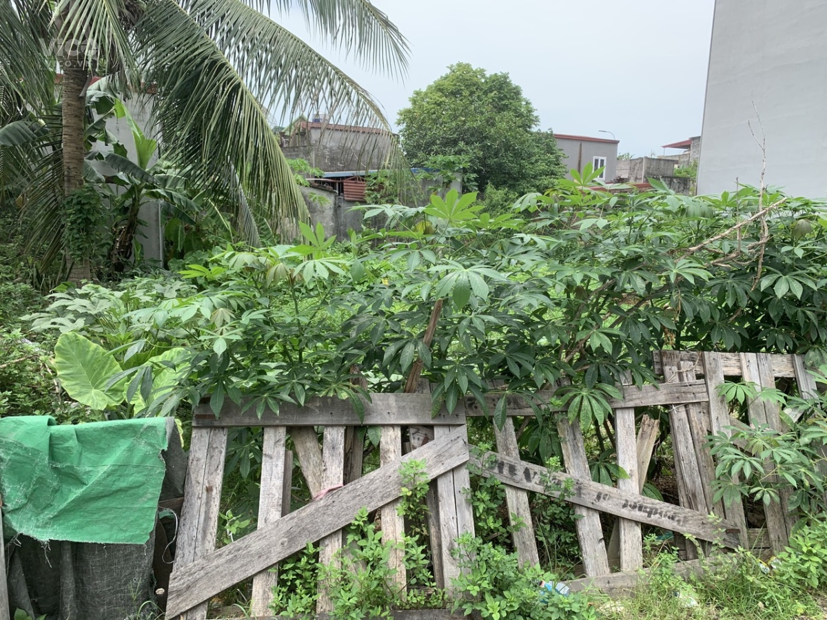 Chủ Nhờ Bán 90m2 ngay Hải Thành 1 , Dương Kinh Hải Phòng , giá chỉ 2,x tỷ Lh Mr Truyền3