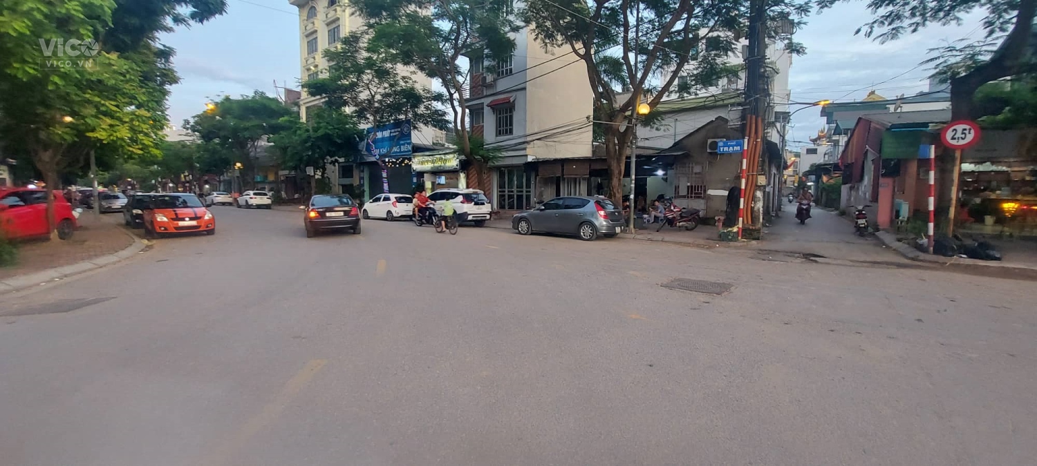 Bán 100m2 Đất phố Trạm, Long Biên PHÂN LÔ VỈA HÈ KINH DOANH chỉ 9tỷ.