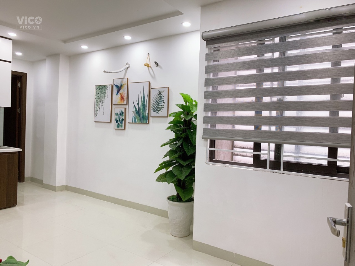 Nhà bán Mai Xuân Thưởng 51m2 kế Quận 5, Xe hơi C30 chỉ 4.1 tỷ