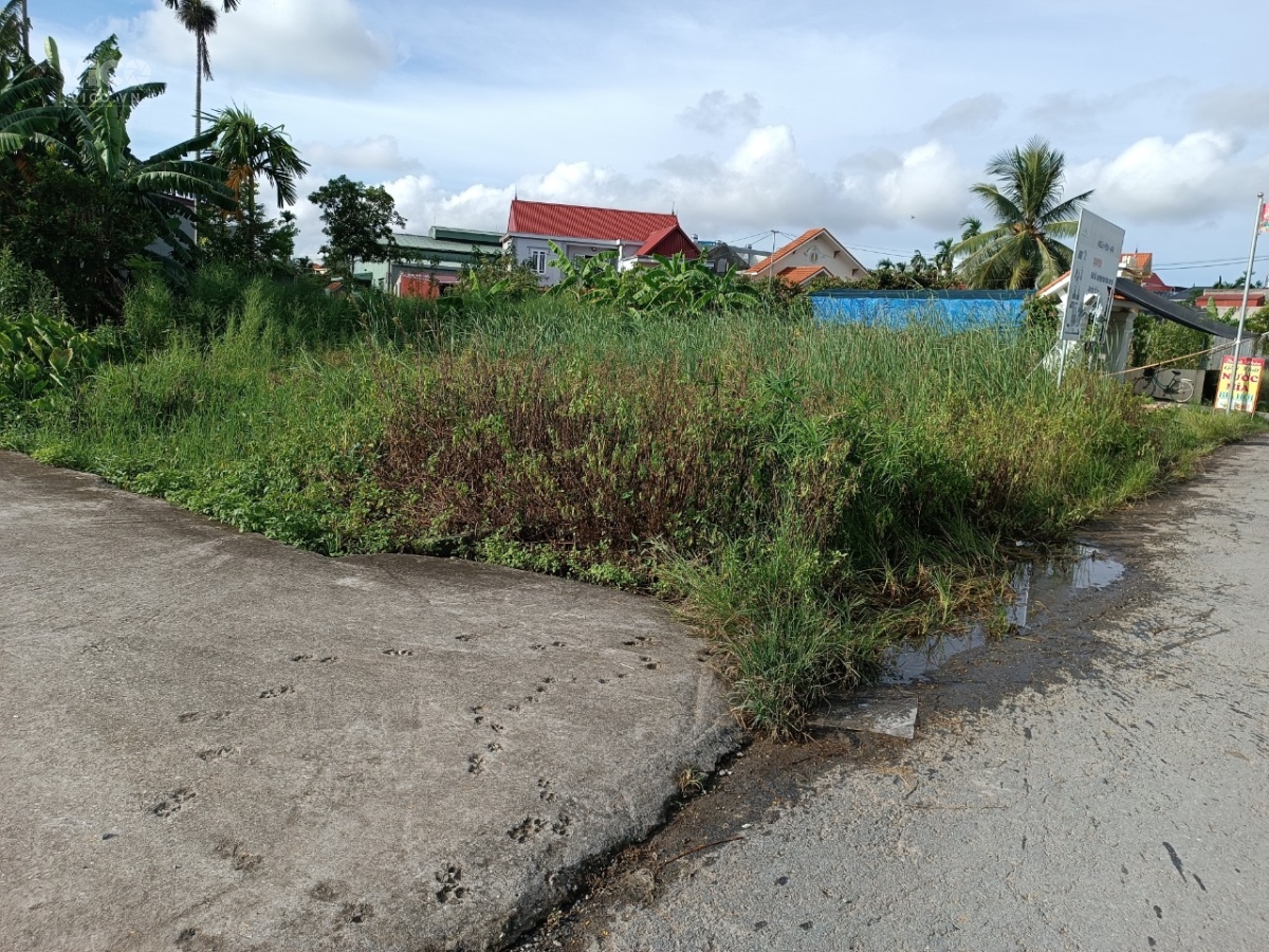 TDP 8 hưng đạo dương kinh HP mặt đg giá 1,43 tỷ .m