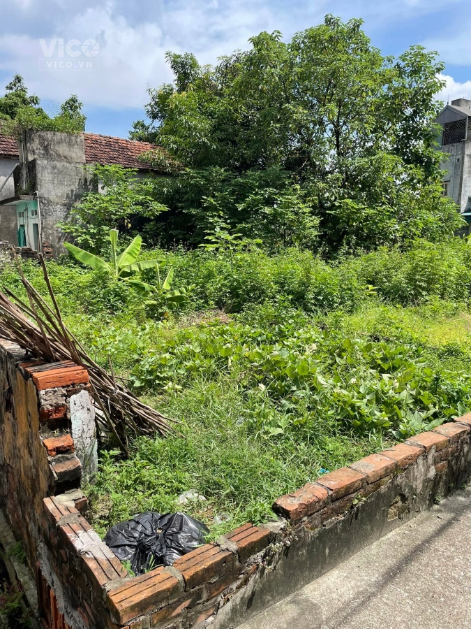 43m2 đất ĐẸP Di Trạch CỰC RẺ.