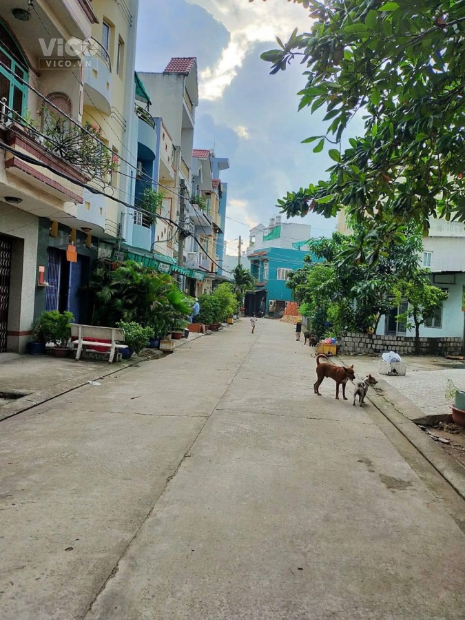 BÁN NHÀ 3 TẦNG ĐƯỜNG TÂN HOÀ ĐÔNG, HXT THÔNG, 64M2 CHỈ 5.6 TỶ, GIÁP QUẬN 6, TÂN PHÚ, 3 PHÚT RA CHỢ