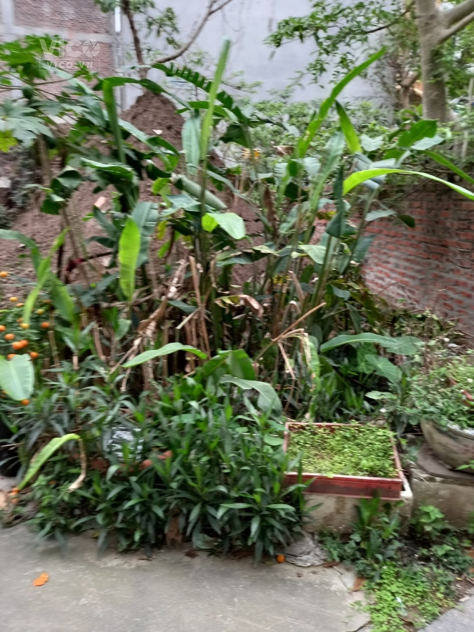 không có mảnh thứ 2! Giang Biên, Long Biên 35m lô góc, ô tô tránh, 1,75 tỷ