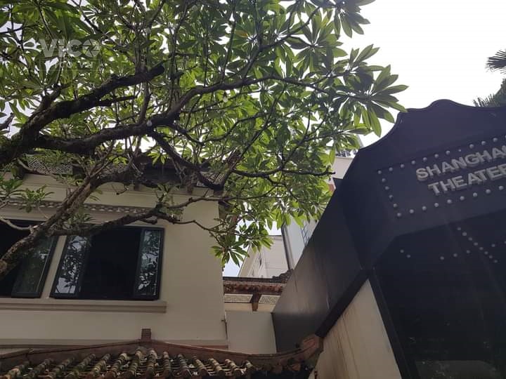 CẦN BÁN GẤP CĂN BIỆT THỰ CÔ MẶT PHỐ VÍP TẠI TRUNG TÂM HAI BÀ TRƯNG.200M2 NHỈNH 100TY. 109 200