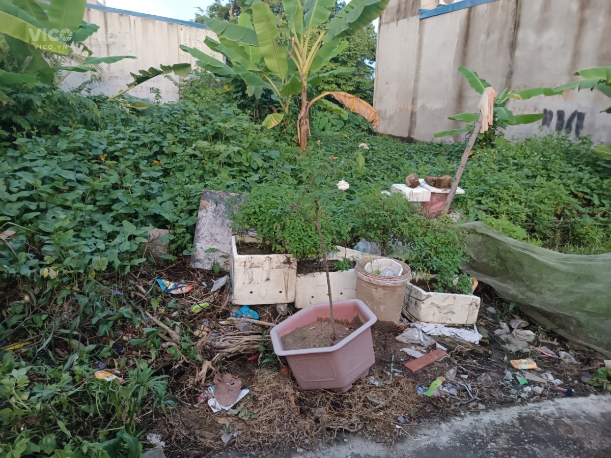 TDP phấn dũng Dương Kinh Hải Phòng . 17 tr m