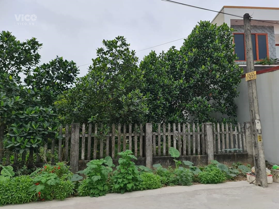 mặt đường quyết tiến 2 hợp đức Đồ Sơn Hải Phòng . 13,7 tr m