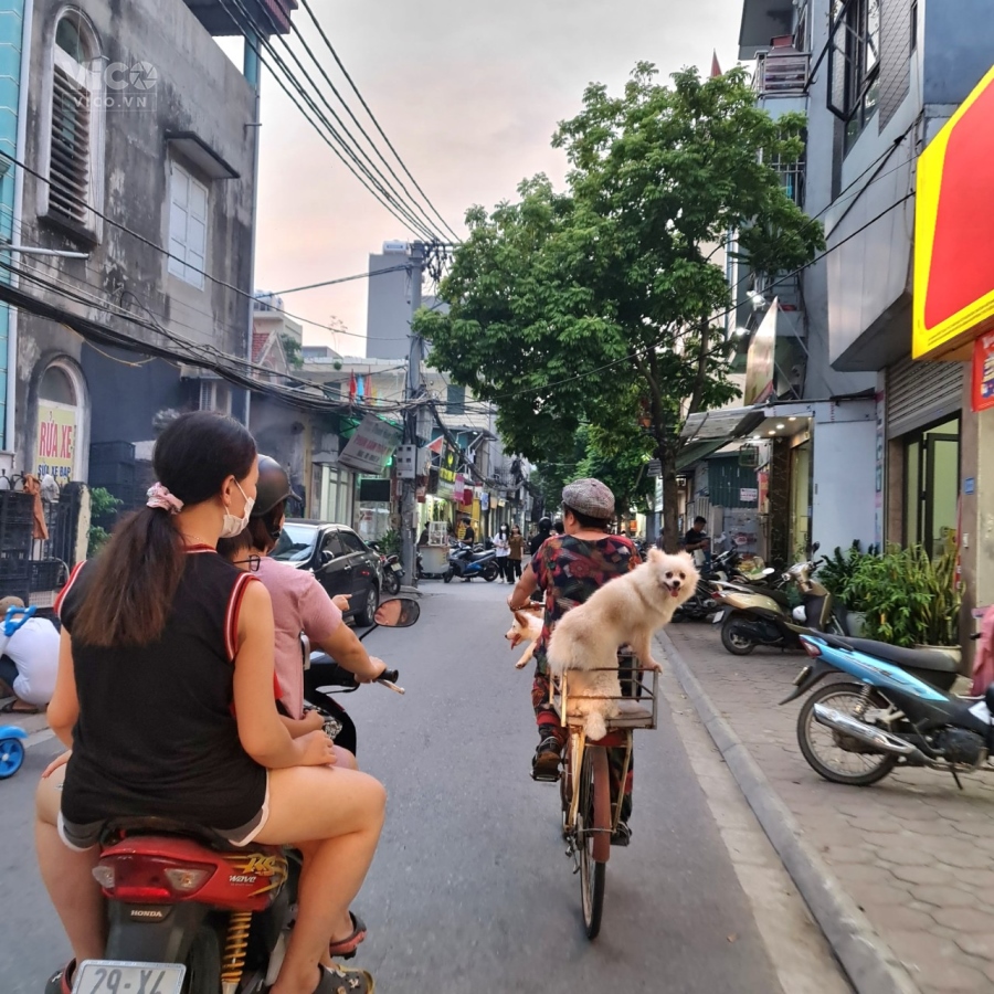 Bán đất Trâu Quỳ, Gia Lâm, Hà Nội. 55m2, đường 4m ô tô ra vào thoải mái. Chỉ 3xyz tr. Lh 0989894845