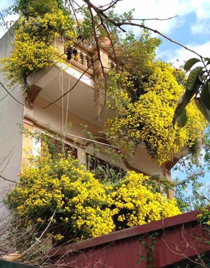 Bán đất giá tốt Quận 12 HXH chỉ có trong tháng 7 nhỉnh 4 tỷ hơn 100m2 sổ hồng riêng