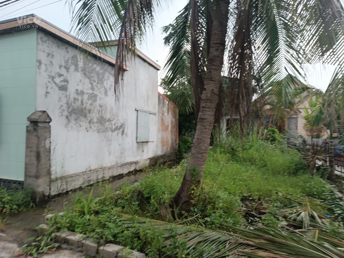 TDP Dân Tiến Minh đức Đồ Sơn Hải Phòng . chỉ có 1,15tr