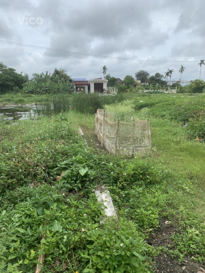 Chỉ hơn 1 tỷ, đường 8m sở hữu ngay lô đất tuyến đường 362 Hòa Nghĩa, Dương kinh